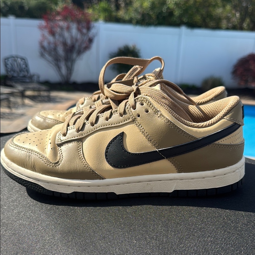 Nike Tan and Black Sneakers